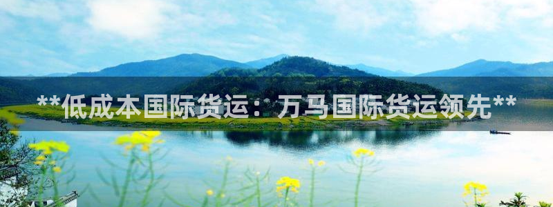 尊龙人生就是博官网登录手机：**低成本国际货运：万马国际
