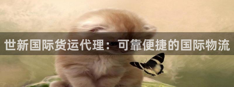 尊龙集团官网：世新国际货运代理：可靠便捷的国际物流