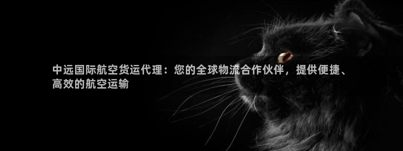 尊龙人生就是博AG：中远国际航空货运代理：您的全球物流合