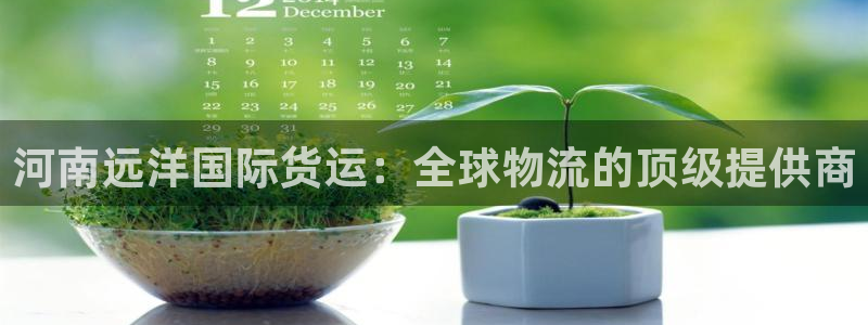 尊龙登录地址：河南远洋国际货运：全球物流的顶级提供商