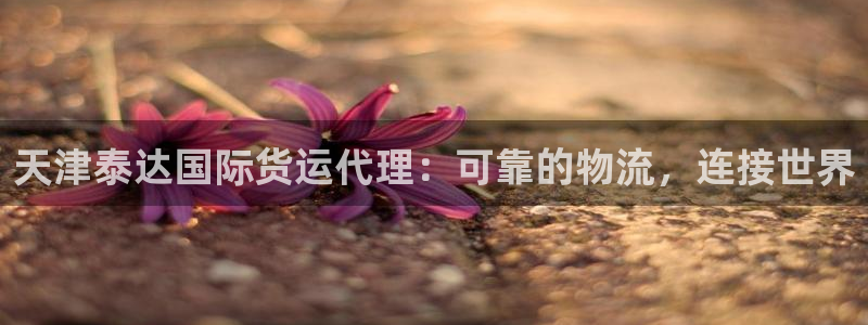 尊龙手机官方客户端下载安装：天津泰达国际货运代理：可靠的
