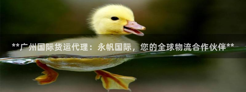 尊龙凯时ag旗舰厅登陆：**广州国际货运代理：永帆国际，