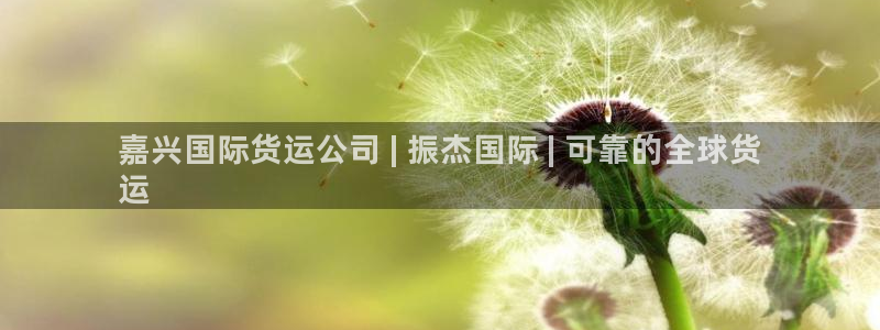 ag尊龙凯时俱乐部：嘉兴国际货运公司 | 振杰国际 | 