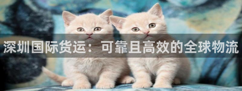 尊龙贴吧：深圳国际货运：可靠且高效的全球物流