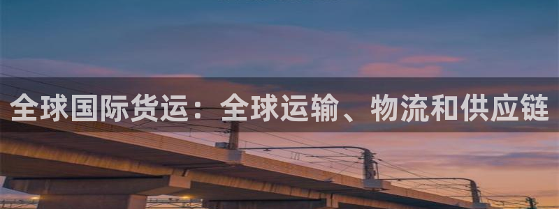 尊龙2021年最新消息：全球国际货运：全球运输、物流和供