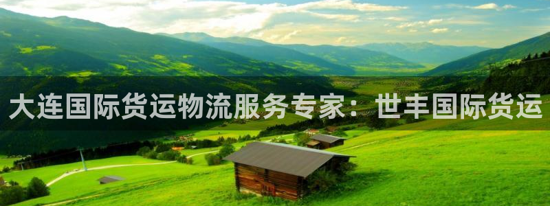 尊龙d88官网so问来就送38：大连国际货运物流服务专家