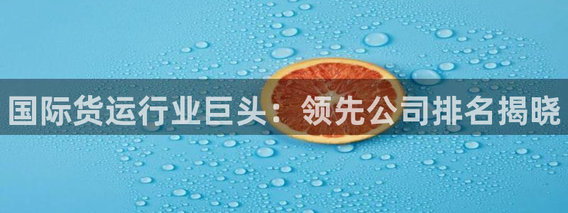 尊龙凯时为什么不封：国际货运行业巨头：领先公司排名揭晓