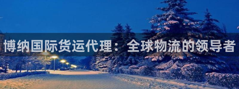 尊龙凯时几百万怎么下款：博纳国际货运代理：全球物流的领导