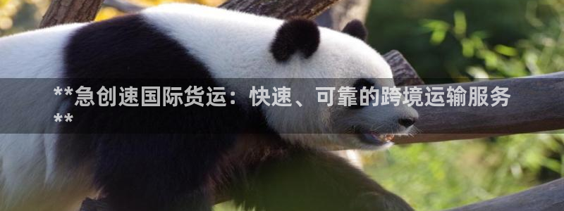 尊龙人品怎么样：**急创速国际货运：快速、可靠的跨境运输