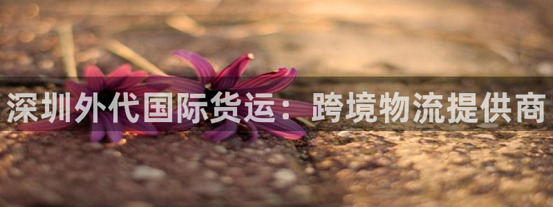 尊龙凯时人生就博：深圳外代国际货运：跨境物流提供商