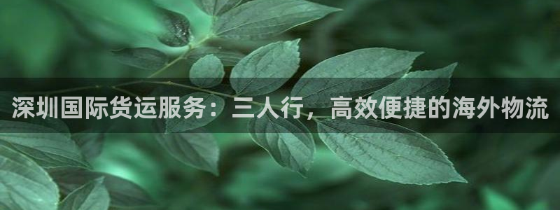 尊龙最新版：深圳国际货运服务：三人行，高效便捷的海外物流