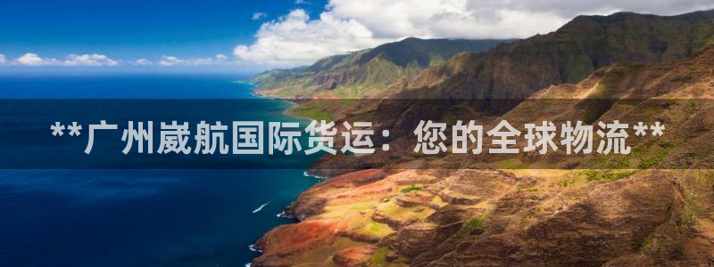尊龙凯时官网：**广州崴航国际货运：您的全球物流**
