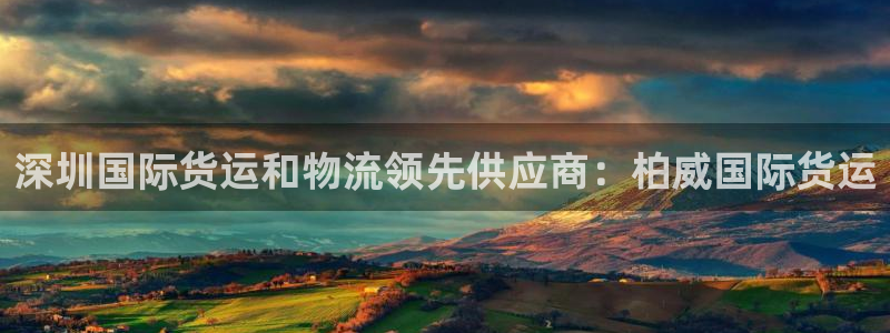 尊龙现金：深圳国际货运和物流领先供应商：柏威国际货运