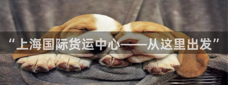 尊龙d88官网登录苹果版下载