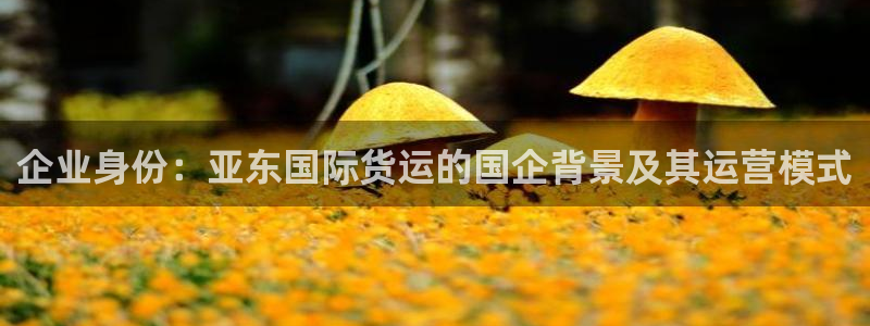 尊龙凯时百万奖池