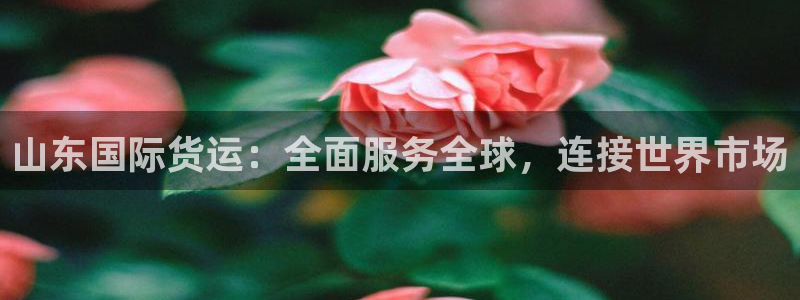 尊龙凯时官网网页版
