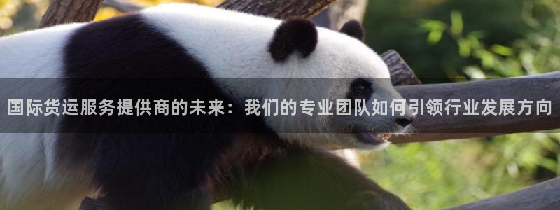 尊龙d88现金关注ag发财网