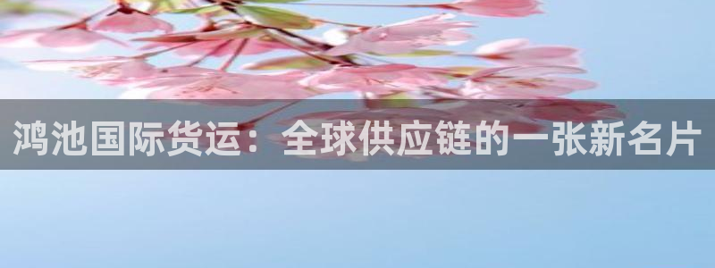 尊龙凯时为什么输了钱