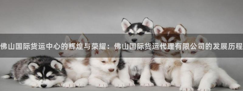 尊龙AG发财网