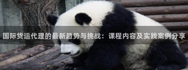 尊龙凯时电竞注册