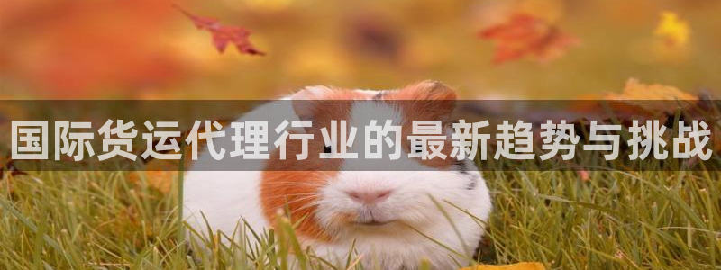 尊龙凯时城娱乐