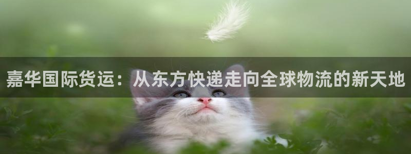 尊龙凯时平台怎么样