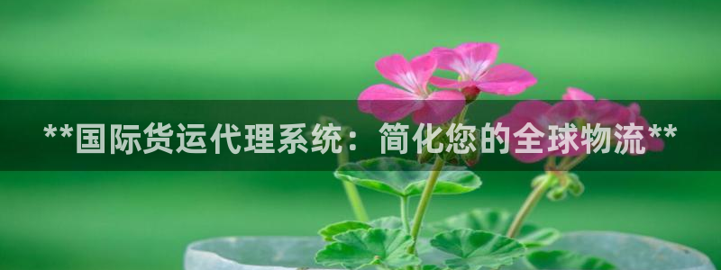 尊龙旗舰厅app：**国际货运代理系统：简化您的全球物流