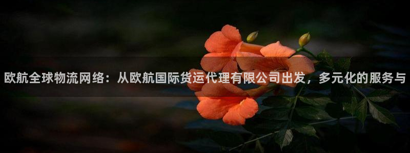 尊龙官网免费下载安卓