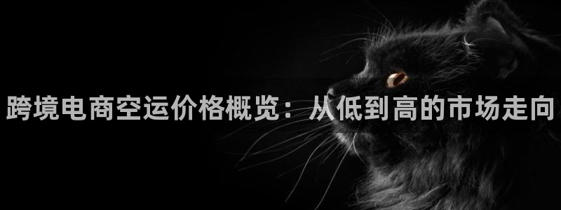 尊龙t500和t300区别