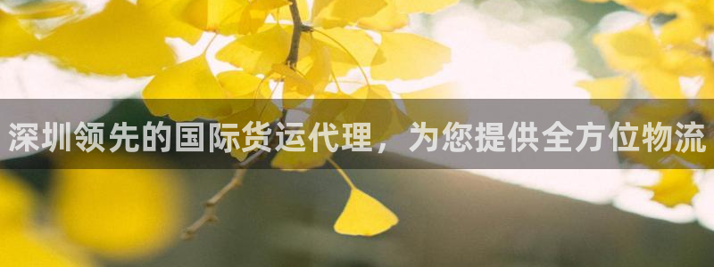 尊龙尊龙：深圳领先的国际货运代理，为您提供全方位物流