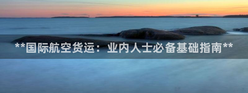 尊龙凯时平台还是万搏好：**国际航空货运：业内人士必备基