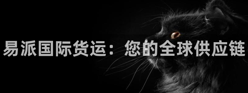 尊龙平台登录：易派国际货运：您的全球供应链