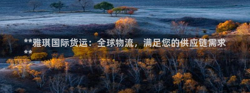 尊龙官网手机版：**雅琪国际货运：全球物流，满足您的供应