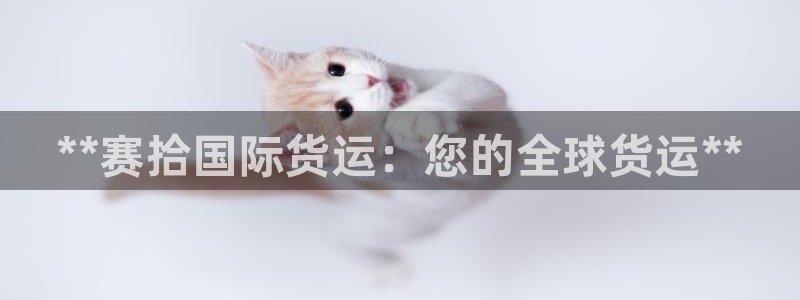 尊龙手机版下载：**赛拾国际货运：您的全球货运**