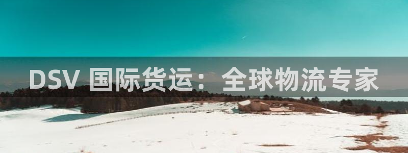 尊龙凯时为什么输了钱：DSV 国际货运：全球物流专家