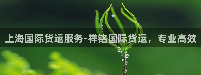 尊龙人生就是博一下下：上海国际货运服务-祥铭国际货运，专