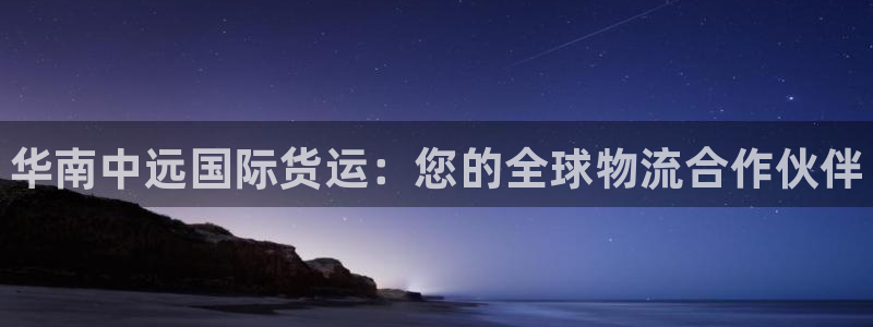 尊龙凯时提现不了：华南中远国际货运：您的全球物流合作伙伴