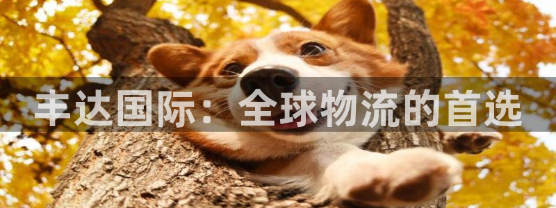 尊龙/人生就是博