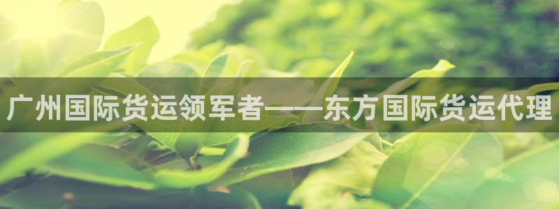 尊龙凯时 人生就是搏!：广州国际货运领军者——东方国际货