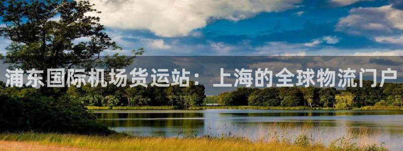 尊龙官网网页版：浦东国际机场货运站：上海的全球物流门户