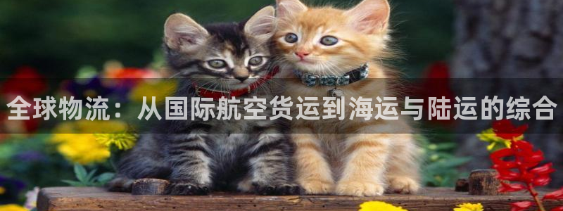 尊龙人生就是博旧版现：全球物流：从国际航空货运到海运与陆