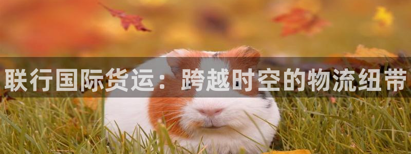 尊龙人生就是博旧版现