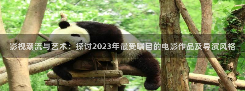 天美麻花视频大全：影视潮流与艺术：探讨2023年最受瞩目的电影作品及导演风格