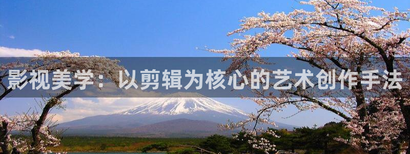 麻花视频在线播放：影视美学：以剪辑为核心的艺术创作手法