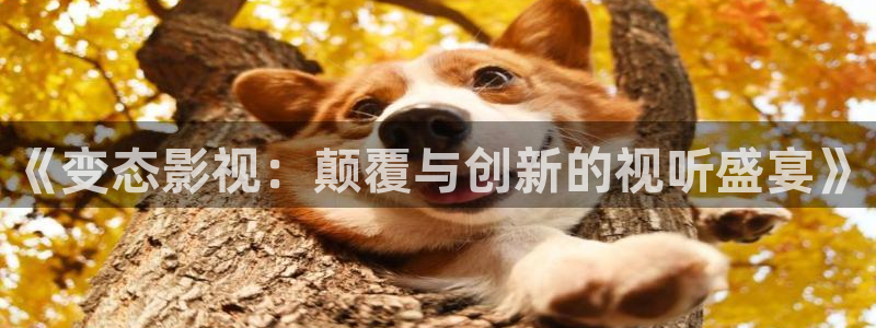 麻花视频在线播放免费观看：《变态影视：颠覆与创新的视听盛宴》