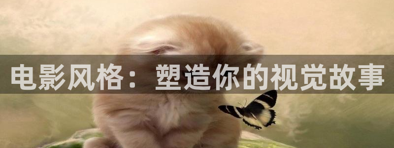 天美麻花视频大全：电影风格：塑造你的视觉故事