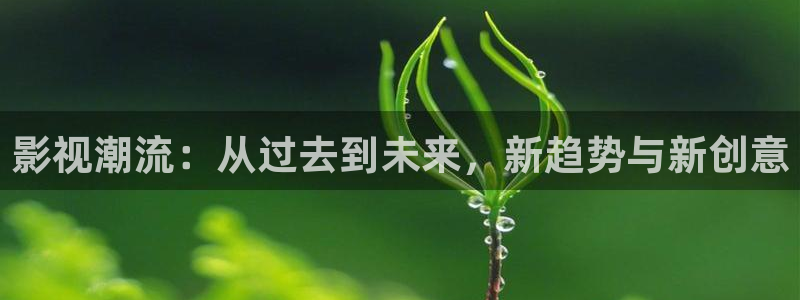 麻花视频网站：影视潮流：从过去到未来，新趋势与新创意