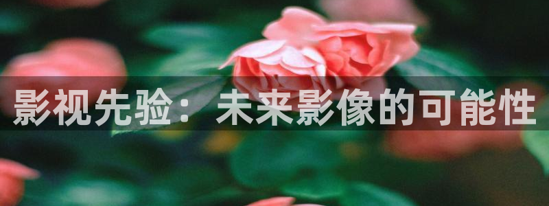 麻花机做麻花视频：影视先验：未来影像的可能性