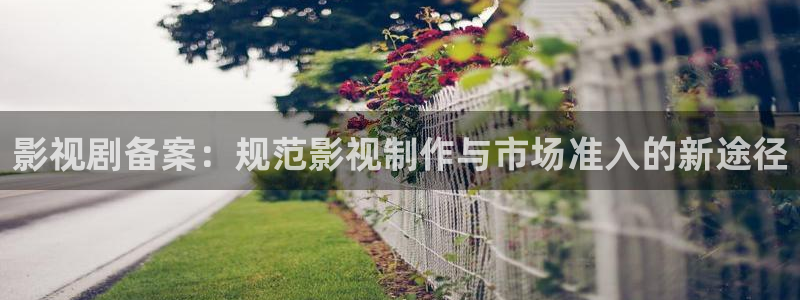 麻花视频免费观看：影视剧备案：规范影视制作与市场准入的新途径