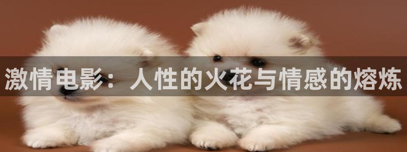麻花视频网站：激情电影：人性的火花与情感的熔炼